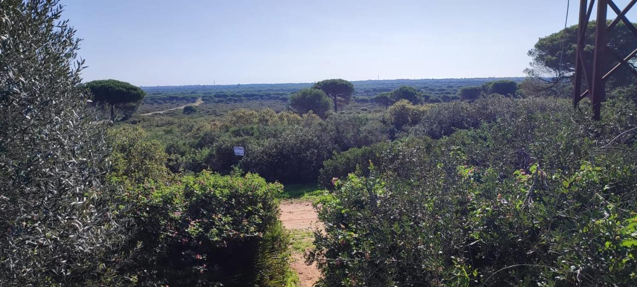 Casa En Loma Sancti Petri A 900 M De La Playa De La Barrosa Villa Chiclana de la Frontera Ngoại thất bức ảnh